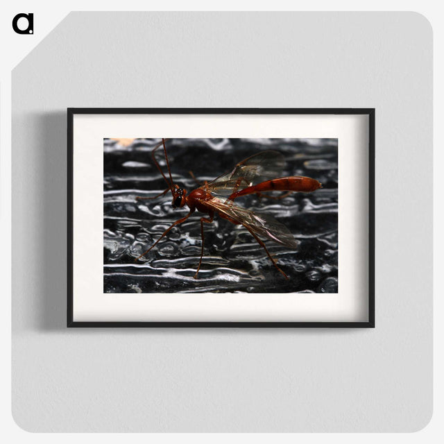 2-98_Insects-Unlocked-Project_blk