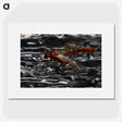 2-98_Insects-Unlocked-Project_picture