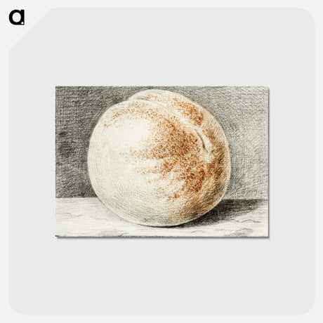 アートポストカード-Peach - ジャン ベルナール Postcard.