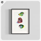 2-98_John-Gould_blk