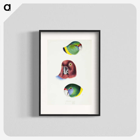 2-98_John-Gould_blk