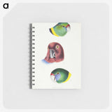 2-98_John-Gould_memo