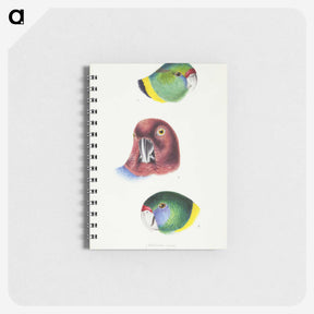 2-98_John-Gould_memo
