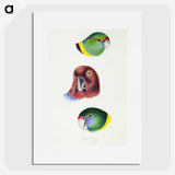 2-98_John-Gould_picture