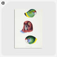 2-98_John-Gould_postcard