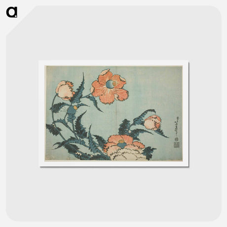 アートポストカード-Hokusai's Poppies - 葛飾 北斎 Postcard.