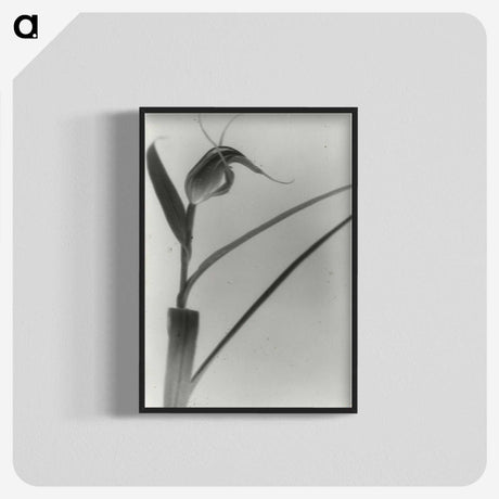 2-98_Leslie-Adkin_blk-crop