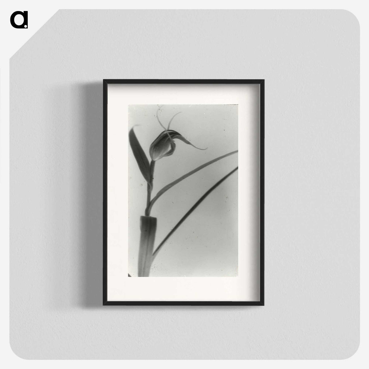 2-98_Leslie-Adkin_blk