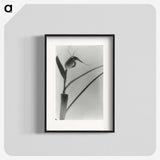 2-98_Leslie-Adkin_blk