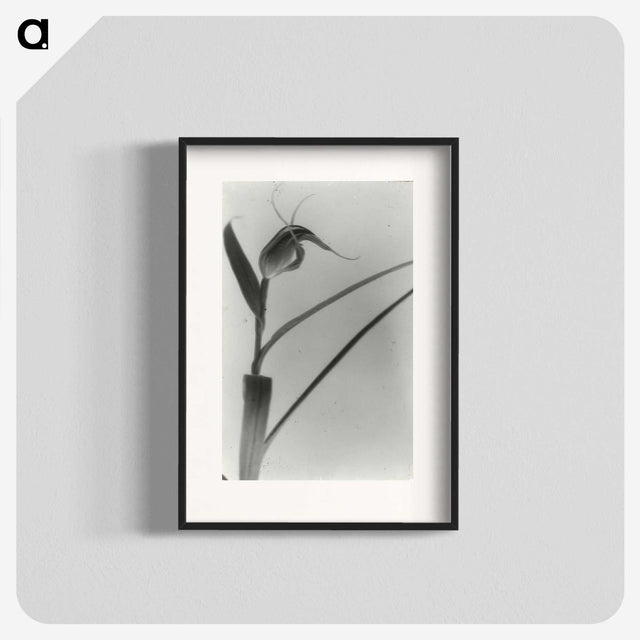 2-98_Leslie-Adkin_blk
