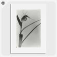 2-98_Leslie-Adkin_picture