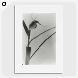 2-98_Leslie-Adkin_picture