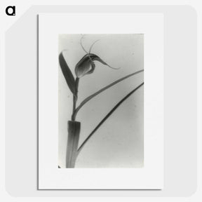 2-98_Leslie-Adkin_picture