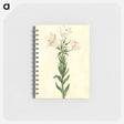 アートメモ帳-Lilium Candidum
 - マリア ジビーラ メーリアン Memo.