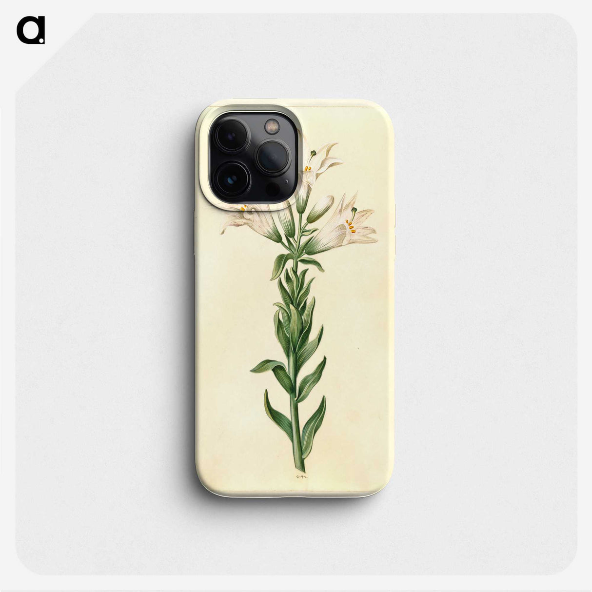 2-98_Maria-Sibylla-Merian_phone