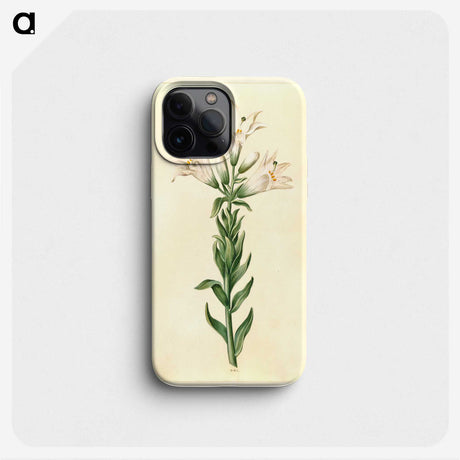 2-98_Maria-Sibylla-Merian_phone