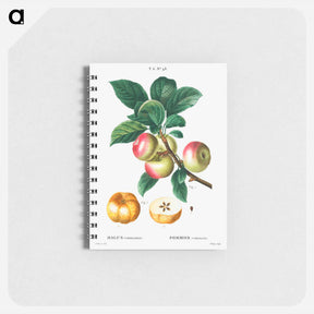アートメモ帳-Apple - ピエール ジョゼフ ルドゥーテ Memo.