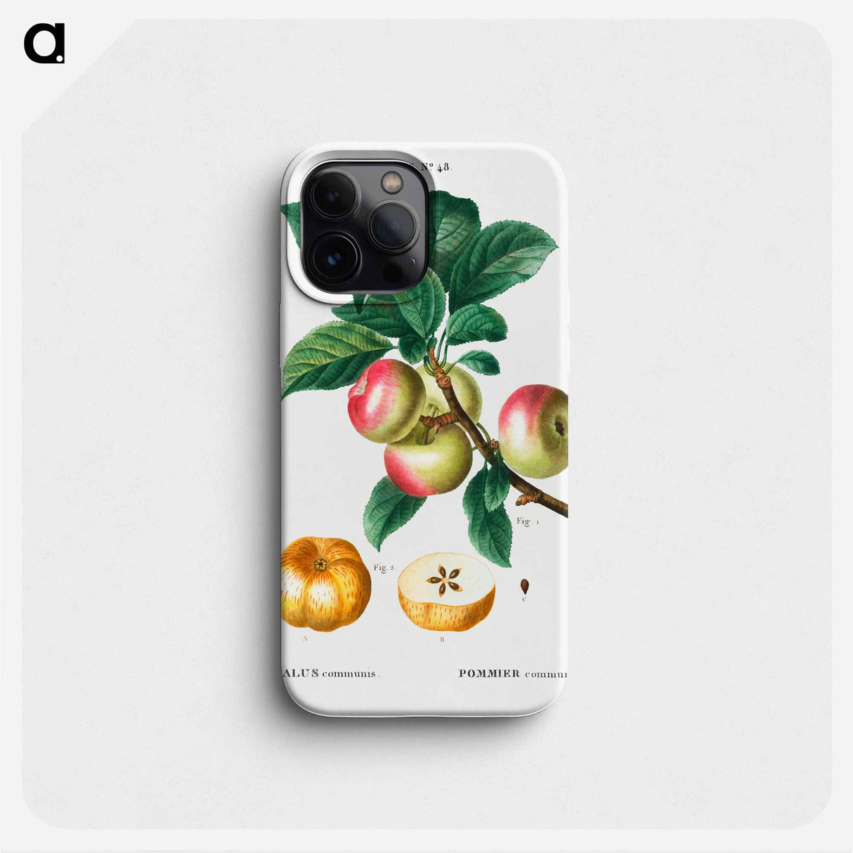 Apple - ピエール ジョゼフ ルドゥーテ Phone Case.