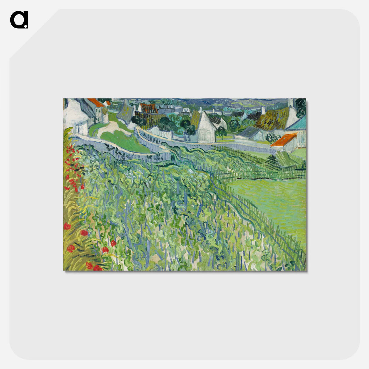 アートポストカード-Vineyards at Auvers
 - セントルイス美術館 Postcard.