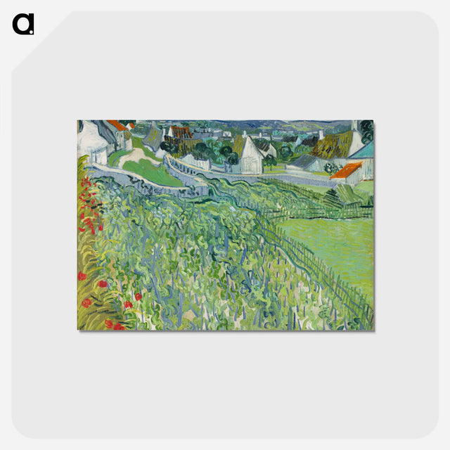 アートポストカード-Vineyards at Auvers
 - セントルイス美術館 Postcard.