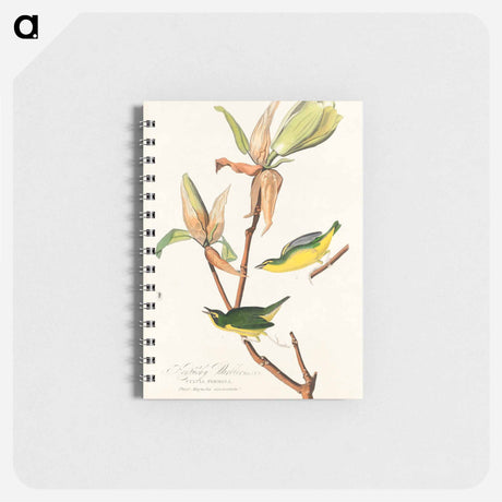 アートメモ帳-Kentucky Warbler from Birds of America
 - アメリカの鳥たち Memo.