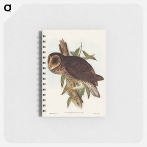 アートメモ帳-Sooty Owl
 - オーストラリアの鳥 Memo.