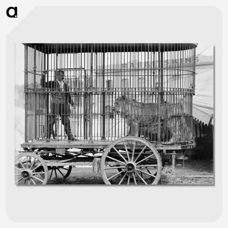 2-98_The-Burton-Brothers_picture-crop