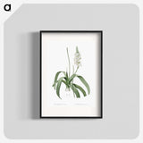 2-98_The-Lilies_blk