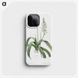 2-98_The-Lilies_phone