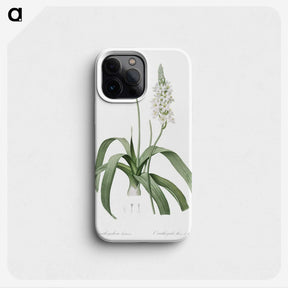 2-98_The-Lilies_phone