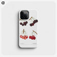 2-98_Treatise-on-Trees-and-Shrubs_phone