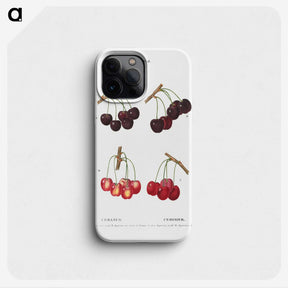 2-98_Treatise-on-Trees-and-Shrubs_phone