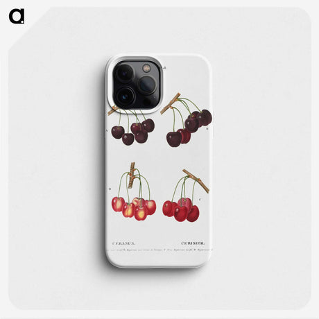 2-98_Treatise-on-Trees-and-Shrubs_phone