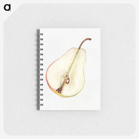 2-98_USDA-Watercolor-Fruit-Painting-Collection_memo