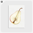 2-98_USDA-Watercolor-Fruit-Painting-Collection_postcard