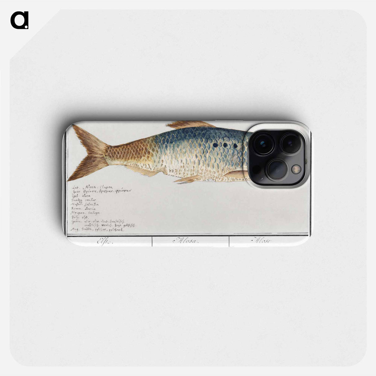 Elft, Alosa alosa - アンセルムス ボエティウス デ ブート Phone Case.