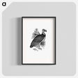 アートポスター-King Vulture
 - 大英図書館 Poster.
