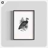 アートポスター-King Vulture
 - 大英図書館 Poster.