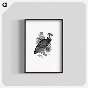 アートポスター-King Vulture
 - 大英図書館 Poster.