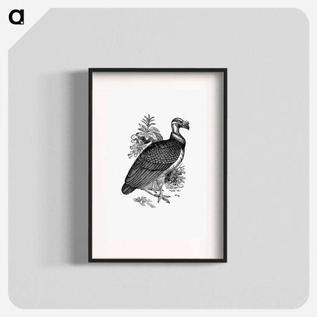 アートポスター-King Vulture
 - 大英図書館 Poster.