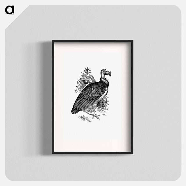 アートポスター-King Vulture
 - 大英図書館 Poster.