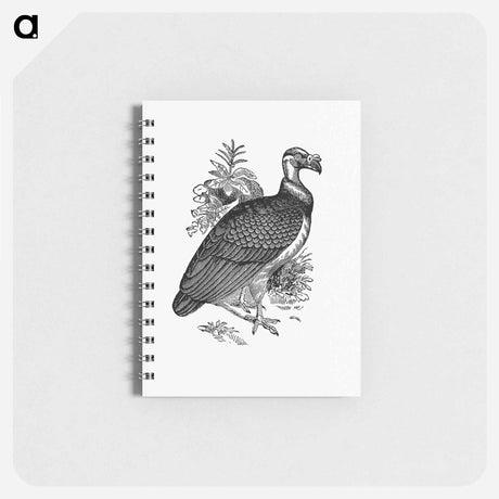 アートメモ帳-King Vulture
 - 大英図書館 Memo.