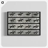 2-99_Eadweard-Muybridge_blk-crop