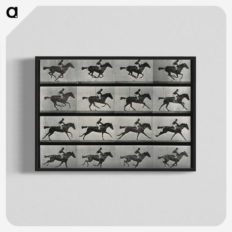 2-99_Eadweard-Muybridge_blk-crop