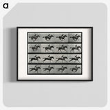 2-99_Eadweard-Muybridge_blk