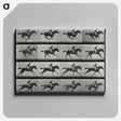 2-99_Eadweard-Muybridge_canvas