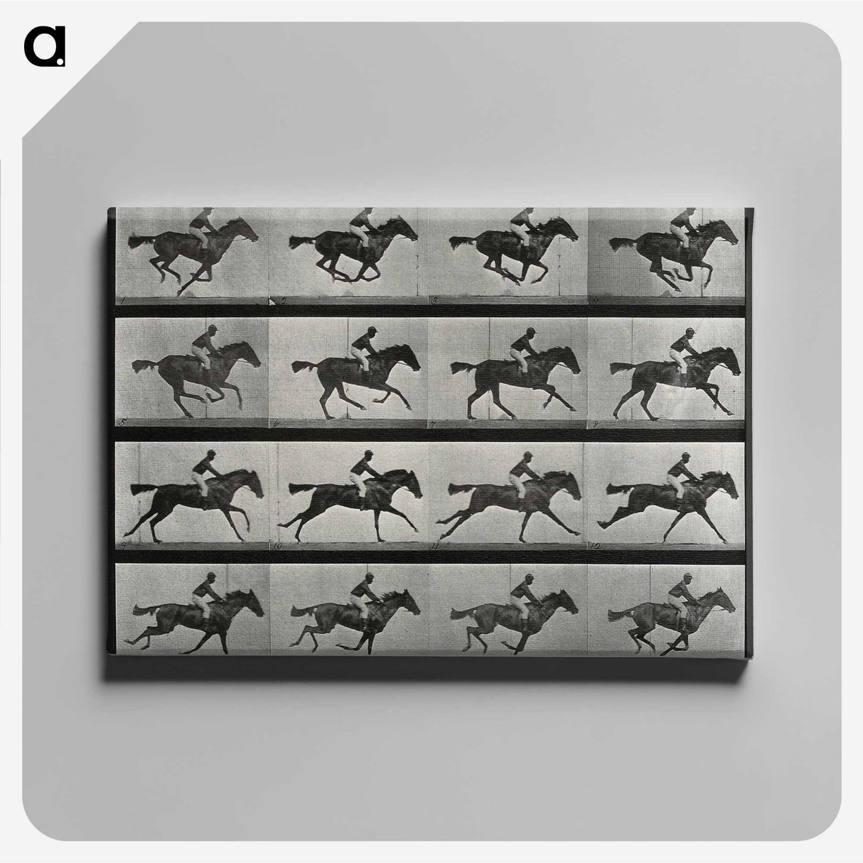 2-99_Eadweard-Muybridge_canvas