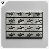 2-99_Eadweard-Muybridge_canvas