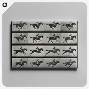 2-99_Eadweard-Muybridge_canvas
