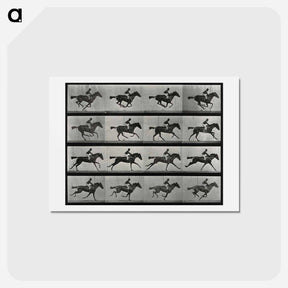 アートポストカード-Galloping Horse and Rider
 - エドワード マイブリッジ Postcard.